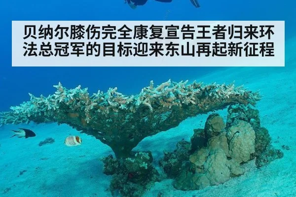 贝纳尔膝伤完全康复宣告王者归来环法总冠军的目标迎来东山再起新征程
